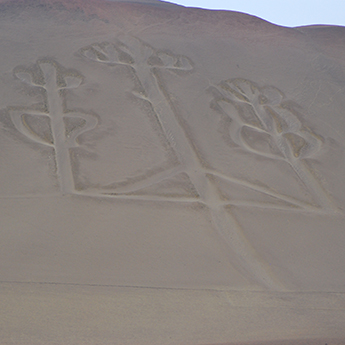 Lima To Ica With Flight Over The Nazca Lines & Sand Buggies